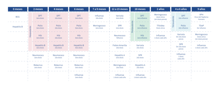 Esquema de vacunación infantil desde el nacimiento hasta los 9 años, mostrando diferentes tipos de vacunas y edades recomendadas.